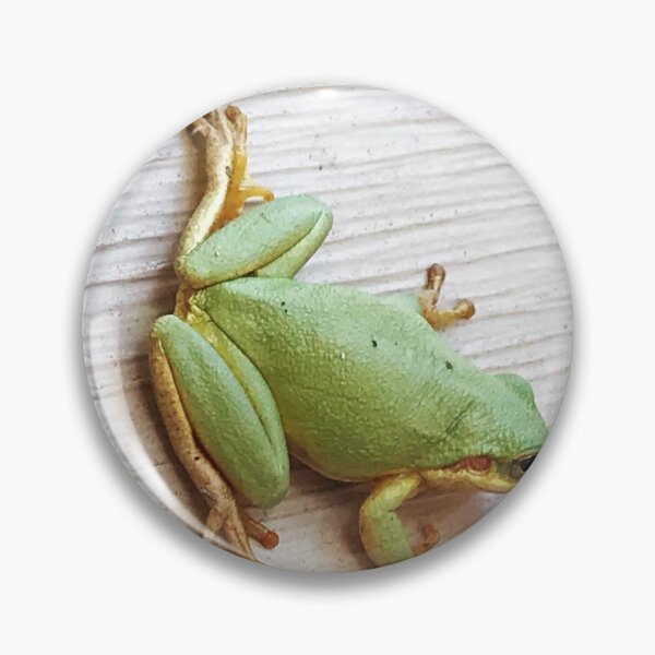 Aperçu de l'œuvre Grenouille créée et vendue par Crowe75.