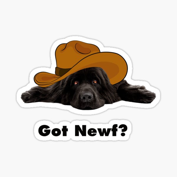 Got Newf? Sticker