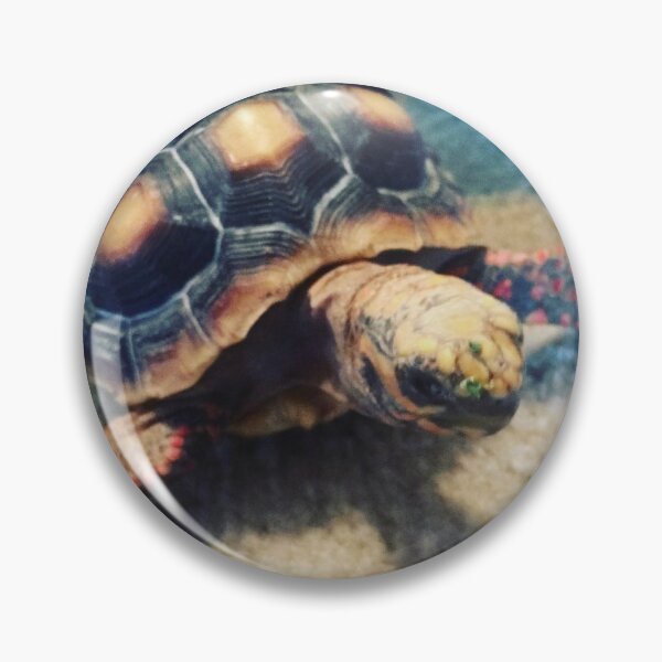 Item preview, Tortuga bebé designed and sold by Crowe75.