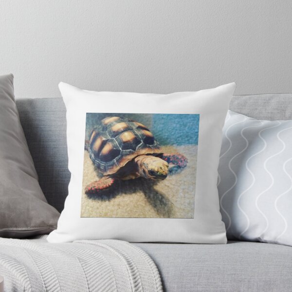 Item preview, Baby Tortoise designed and sold by Crowe75.