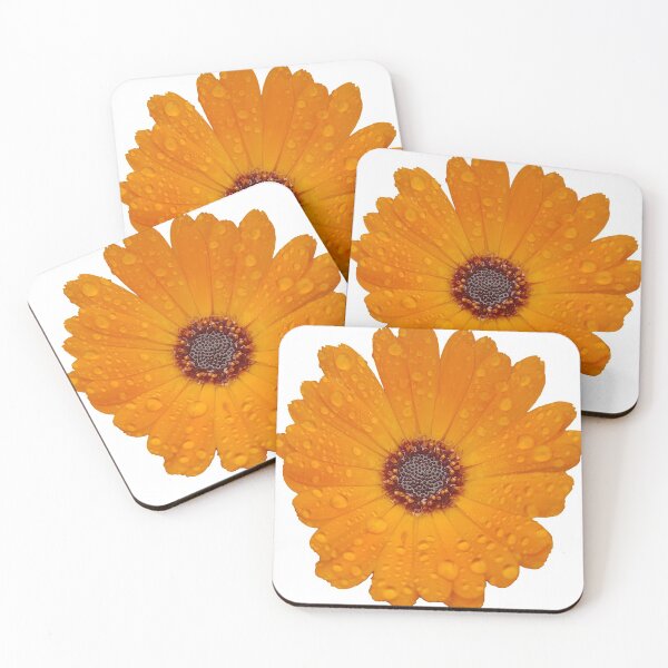 Item preview, pot marigold flower covered in raindrops designed and sold by Steph-draws.