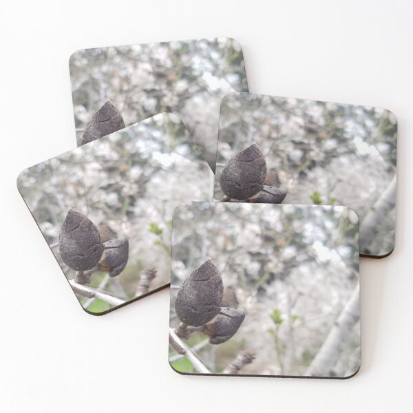 Item preview, Tu BiShvat, New Year for Trees photo: Haya Yagel designed and sold by EsterKarenAida.