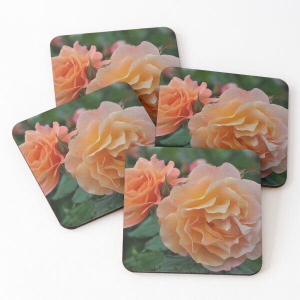 Item preview, Orange rose beauty designed and sold by perlphoto.