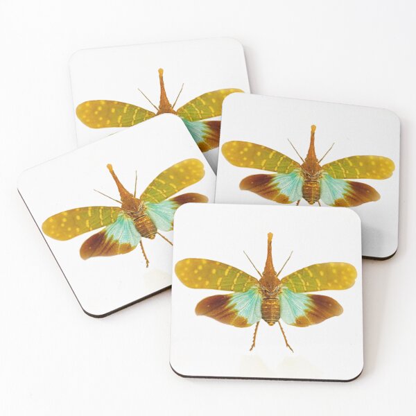 Item preview, Mosca linterna Pyrops intricatus de heidiannemorris © designed and sold by FOLK ART FUSION by heidiannemorris.