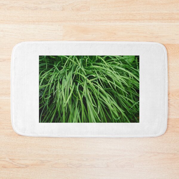 Item preview, Garlic chives in full frame designed and sold by vm2002.