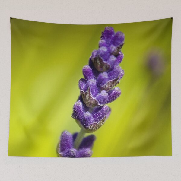 Item preview, Let the birds sing and the lambs play - Lavender Flower by heidiannemorris © designed and sold by FOLK ART FUSION by heidiannemorris.