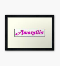 Amaryllis Framed Print