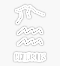 Aquarius Sticker