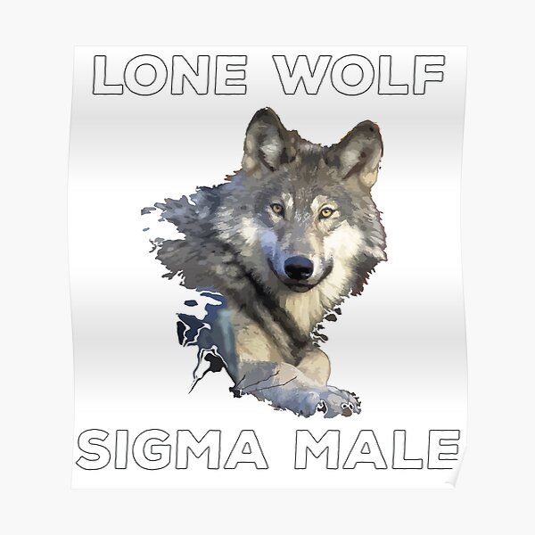 Lone Wolf Sigma Mannliche Eigenschaften Personlichkeit Wir Sind Besser Als Alpha Poster Von Wilfredojerez28 Redbubble