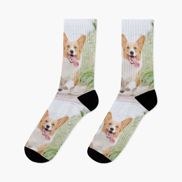 Item preview, Two Puppies running....!! designed and sold by VIVEK KUMAR RAI.
