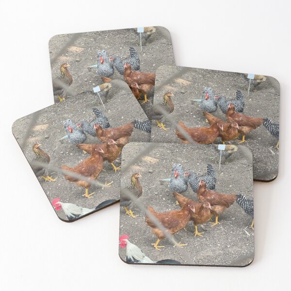 Item preview, rooster and chickens through fence  designed and sold by Revinished.