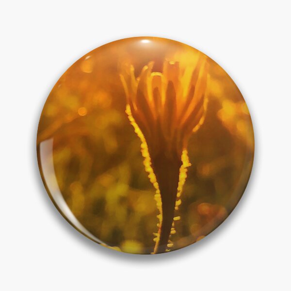 Item preview, Flowers in evening light designed and sold by Greengardens36.