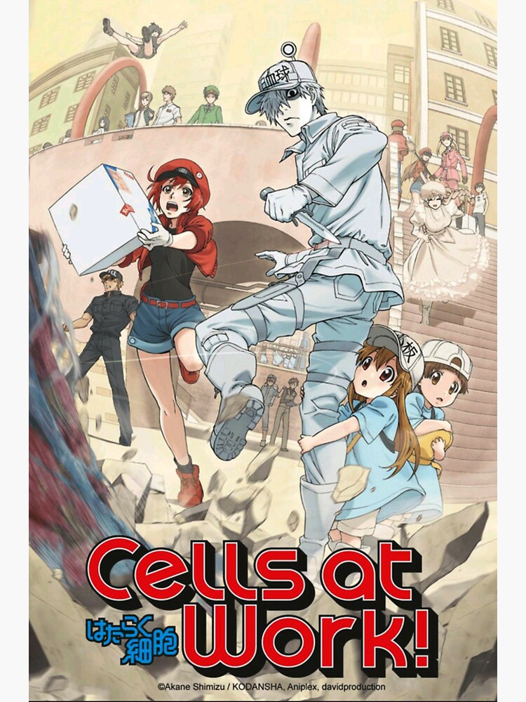 Red Blood Cell Cells At Work Anime girl Waifu Sticker for Sale by  Spacefoxart