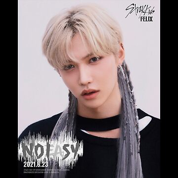 即日匿名配送 StrayKids 雑誌 まとめ売り Felix尽くし 即日匿名配送 StrayKids 雑誌 まとめ売り Felix尽くしの通販 by