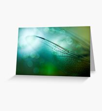 Emerald Damselfly Greeting Card