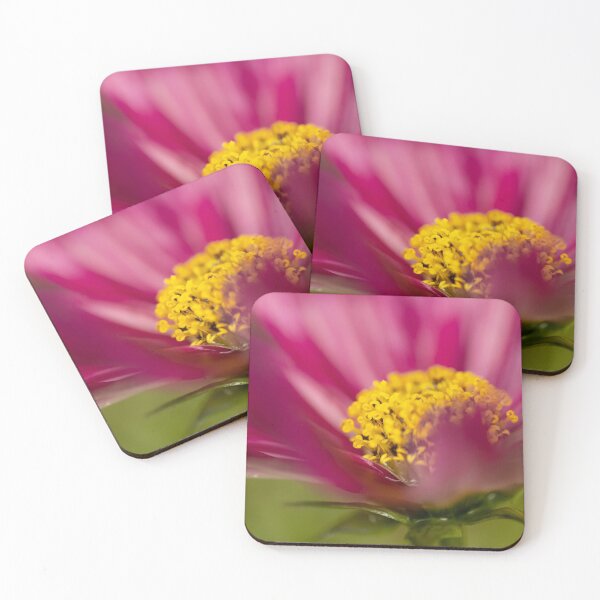 Item preview, Pink Cosmos Fade designed and sold by Annika Westgeest.