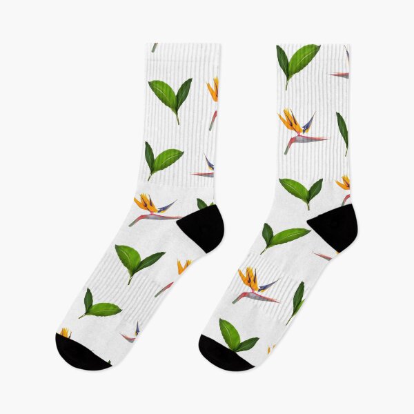 Aperçu de l'œuvre Tropical Vibes Oiseaux de Paradis créée et vendue par OByD.