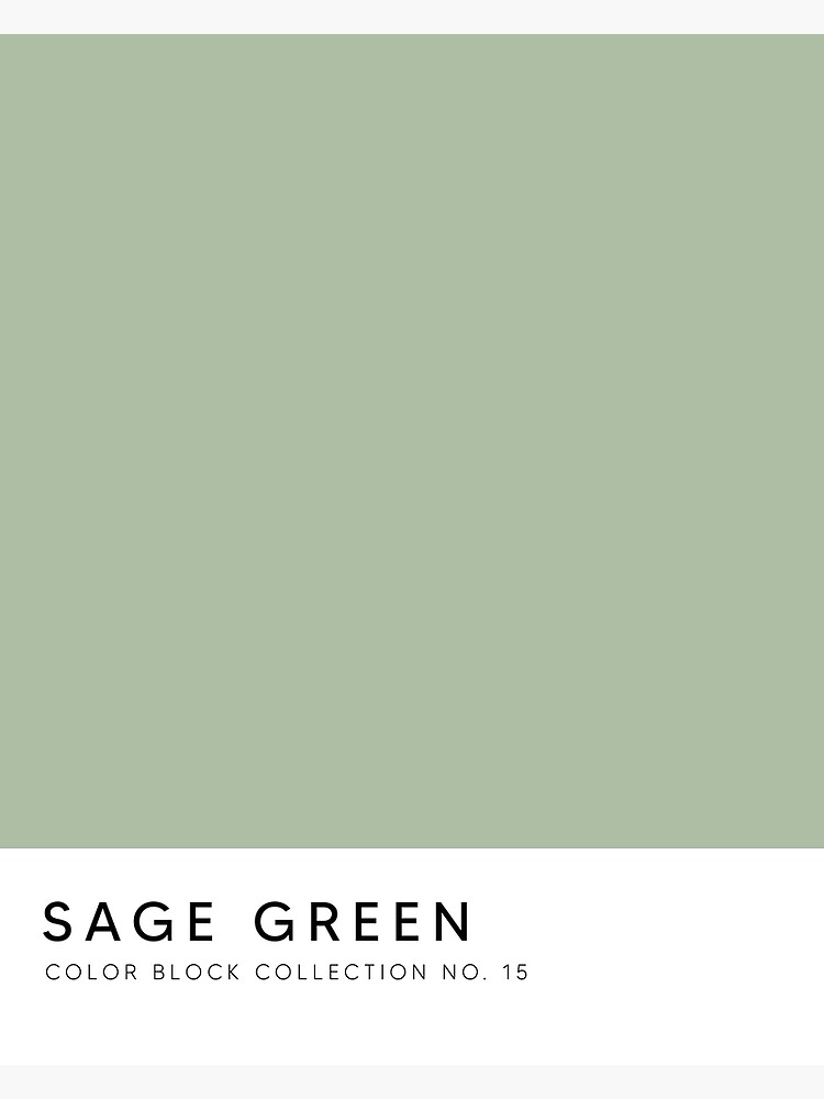 Sage Green Swatch Poster For Sale By Fempreneurco Redbubble   Flat,750x,075,f Pad,750x1000,f8f8f8 