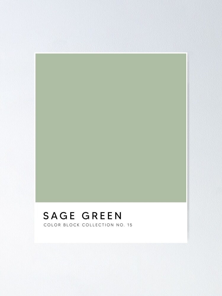 Sage Green Swatch | Poster