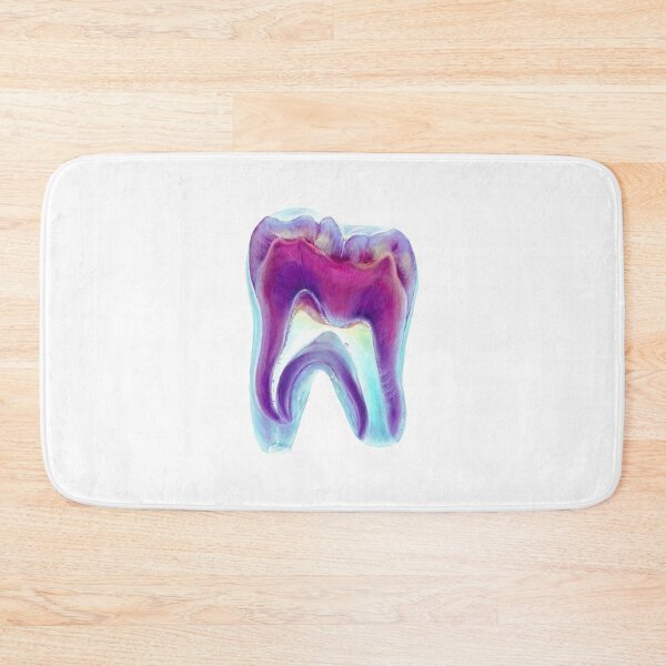 Item preview, Watercolor tooth anatomy designed and sold by guaka-molly.