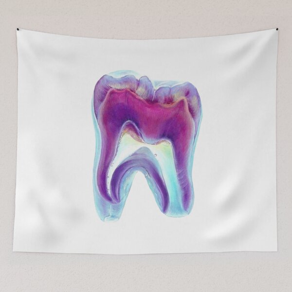 Item preview, Watercolor tooth anatomy designed and sold by guaka-molly.