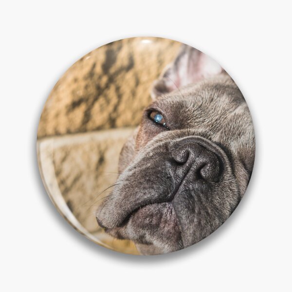 Item preview, French Bulldog Puppy designed and sold by James-Walker.