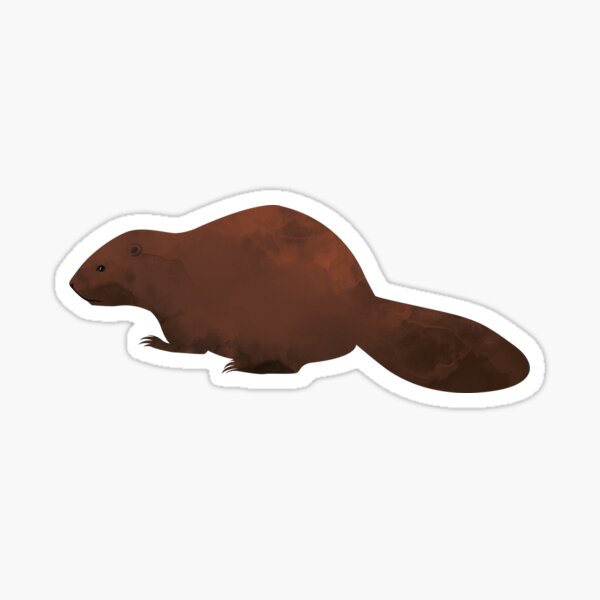 Beaver Sticker