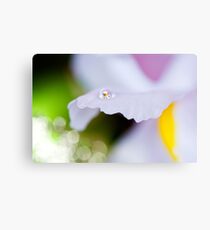 Precious Canvas Print