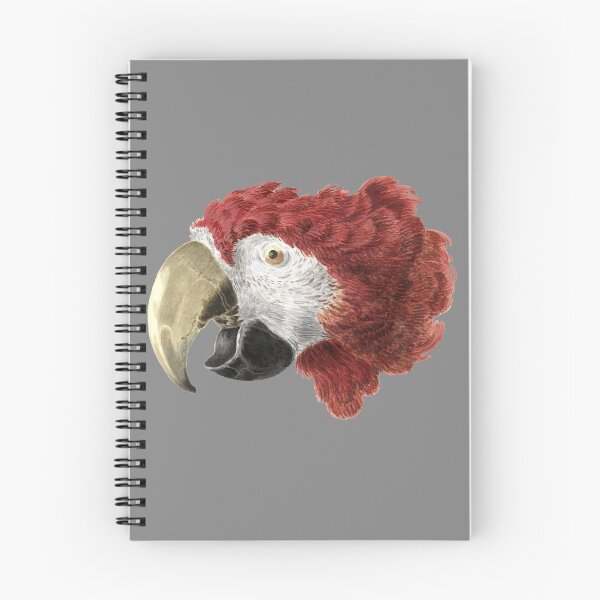 Item preview, Head of a Macaw | Aert Schouman designed and sold by Apparel-City.