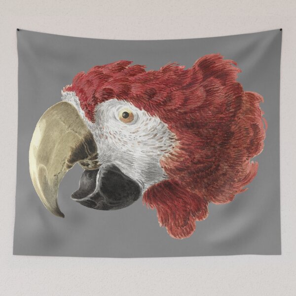 Item preview, Head of a Macaw | Aert Schouman designed and sold by Apparel-City.