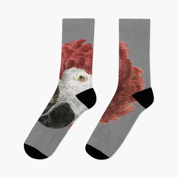 Item preview, Head of a Macaw | Aert Schouman designed and sold by Apparel-City.