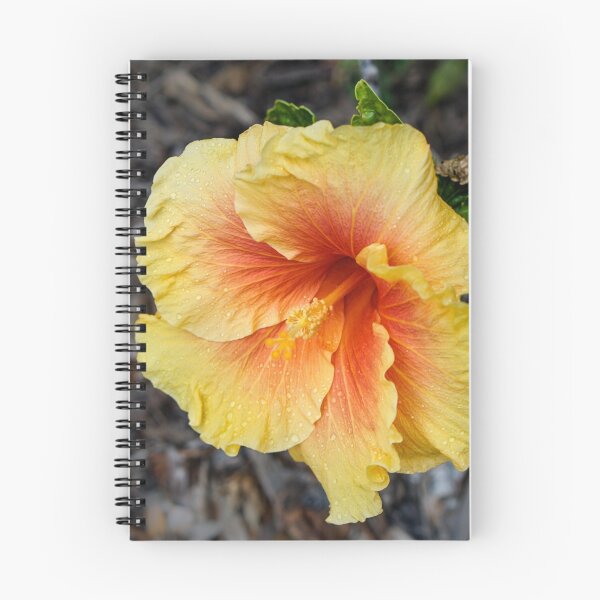 Item preview, The yellow Hibiscus designed and sold by RGKphotos.