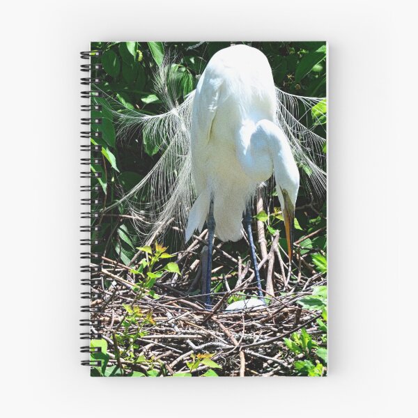 Item preview, A Great Egret Tending To Her Eggs designed and sold by LisaWootenPhoto.
