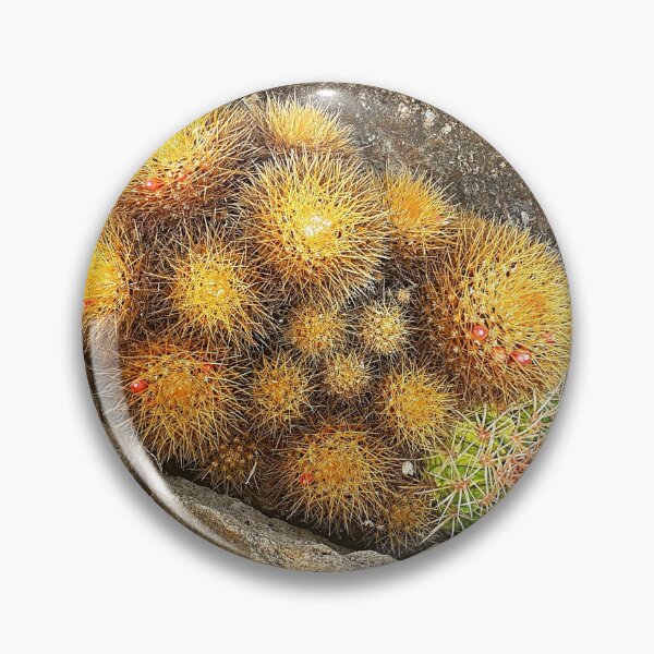 Item preview, Bulbous Cactus designed and sold by shornaiter.