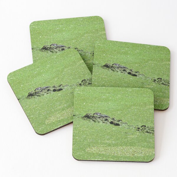Item preview, Alligator In Camo designed and sold by LisaWootenPhoto.