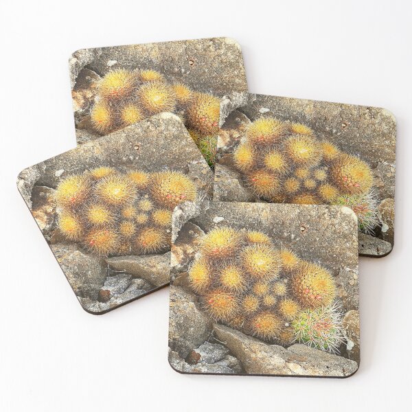Item preview, Bulbous Cactus designed and sold by shornaiter.