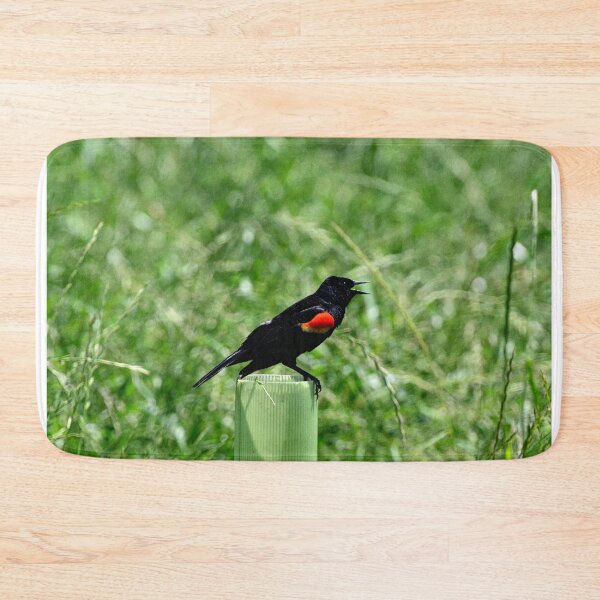 Item preview, Red-Winged Blackbird designed and sold by LisaWootenPhoto.