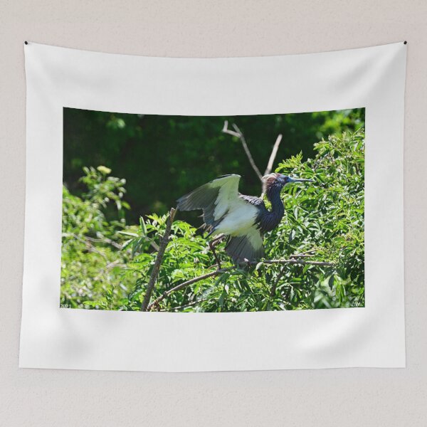 Item preview, Ready Set Go designed and sold by LisaWootenPhoto.
