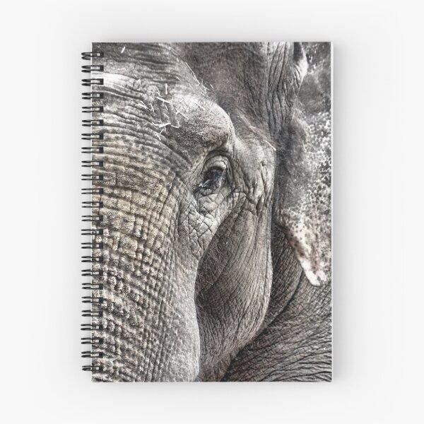 Item preview, Asian Elephant designed and sold by BrainwaveArt.