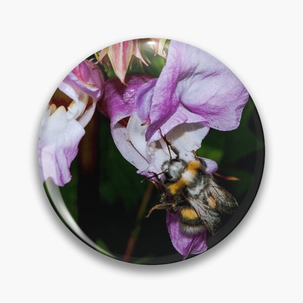 Item preview, Looking - A View  designed and sold by Carl Gaynor.