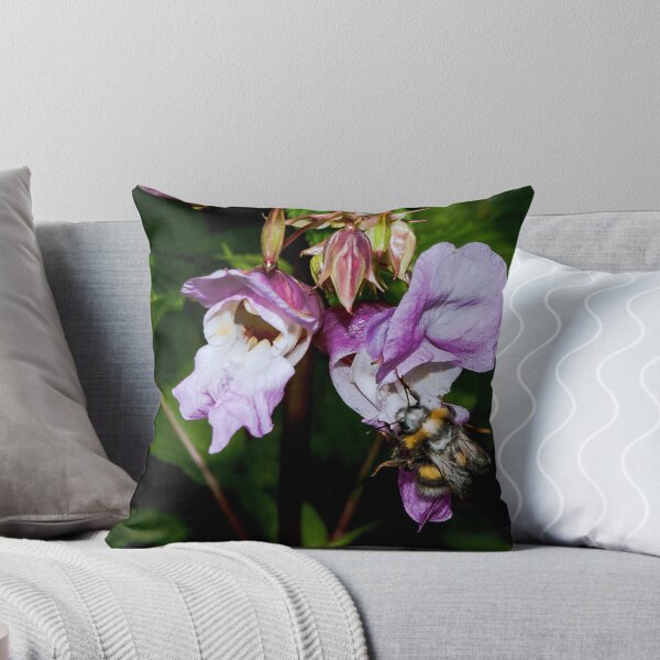 Item preview, Looking - A View  designed and sold by Carl Gaynor.