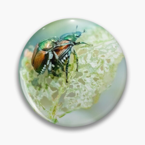 Item preview, Japanese Beetle Style 2 designed and sold by John Velocci.