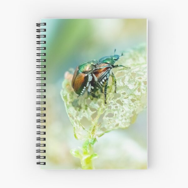 Item preview, Japanese Beetle Style 2 designed and sold by John Velocci.