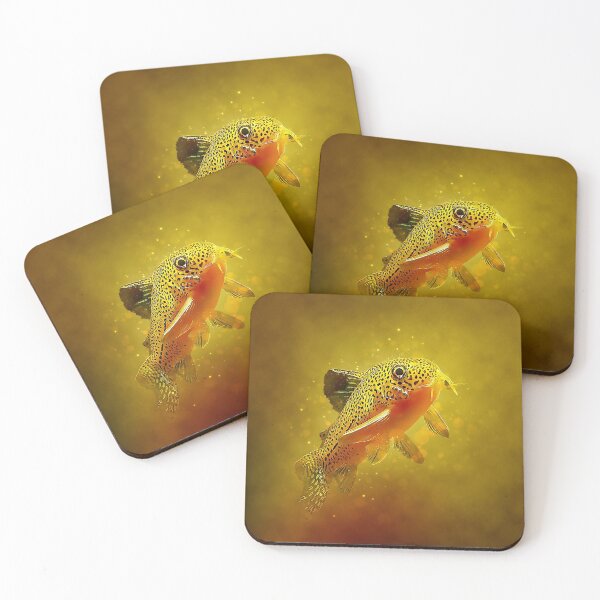 Item preview, Corydoras Julii designed and sold by GFishy.