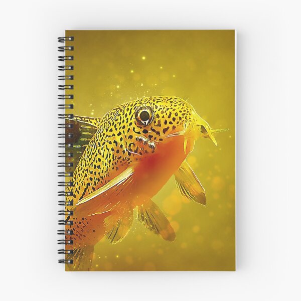 Item preview, Corydoras Julii designed and sold by GFishy.