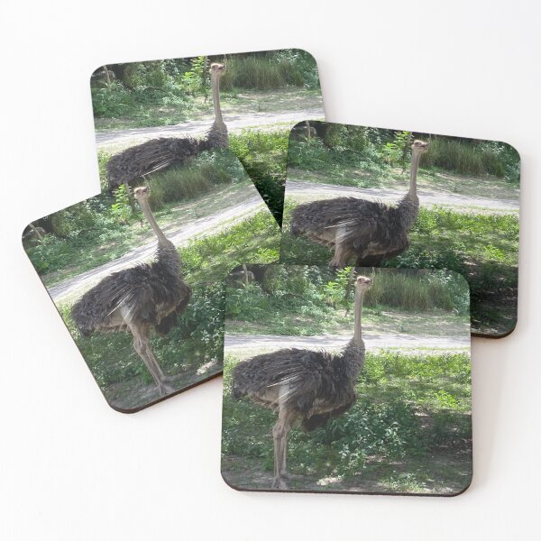Item preview, Ostrich designed and sold by Artsyphotos8.