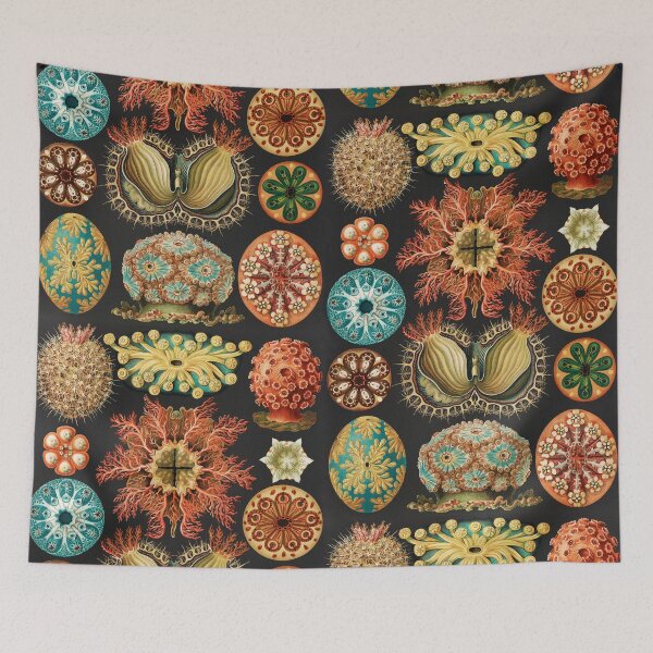 Item preview, Vintage Urchin Sea Nautical Theme Design Dark and Moody designed and sold by BellaLovi.
