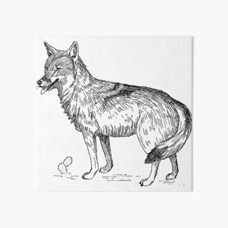 Speed Drawing of a Wolf  Jasmina Susak 