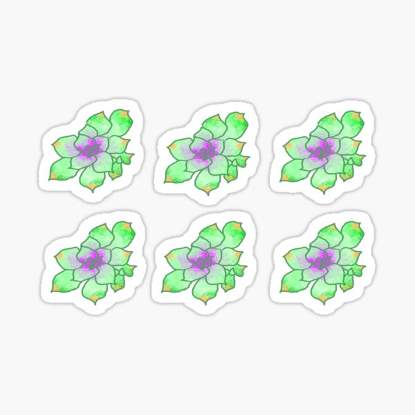 Watercolor Succulent (pack) Sticker