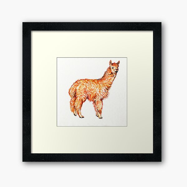 Party Llama Framed Art Print